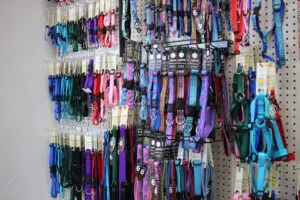 Colorful pet collars and harnesses