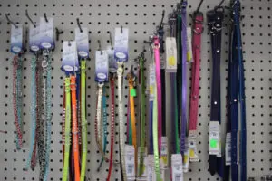 Colorful dog collars on display