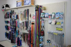 Pet leashes and collars display