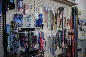 Dog collars and leashes display