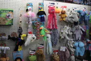 Colorful pet toys display