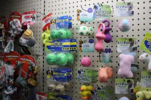 Pet store dog toys display