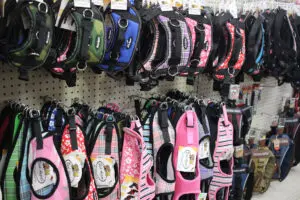 Colorful pet harnesses on display