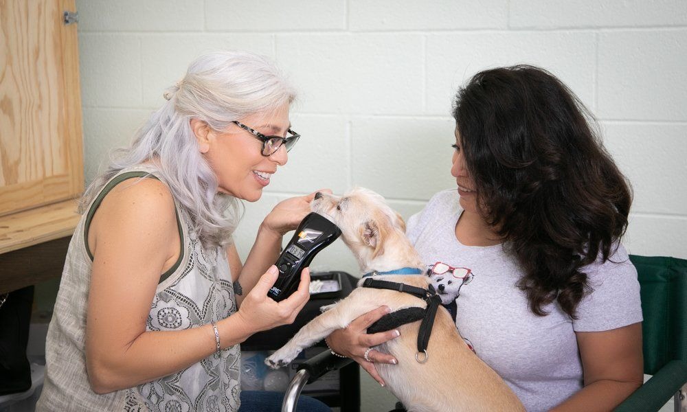 Dog grooming happy customer interaction