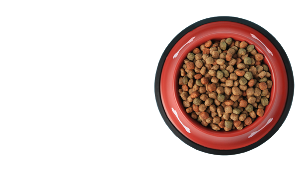 Pet food bowl top view