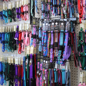 Colorful pet collars and harnesses