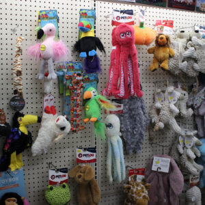 Colorful pet toys display