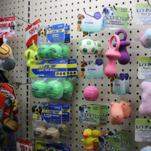 Pet store dog toys display